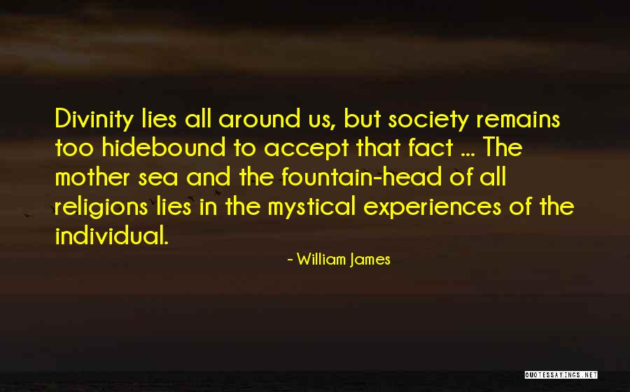 Pararara Quotes By William James