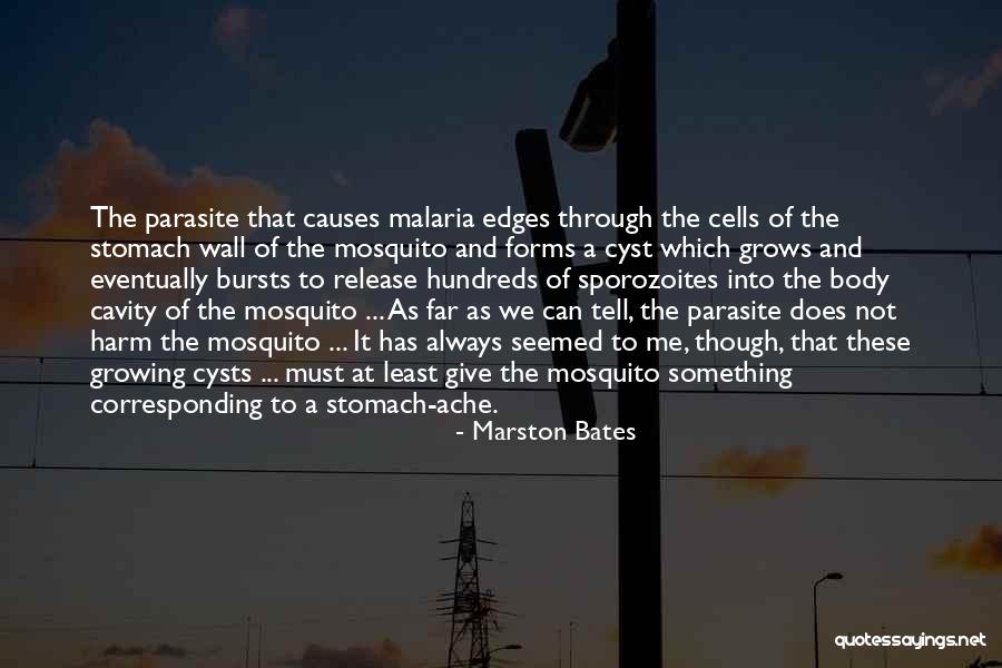 Parasite Quotes By Marston Bates