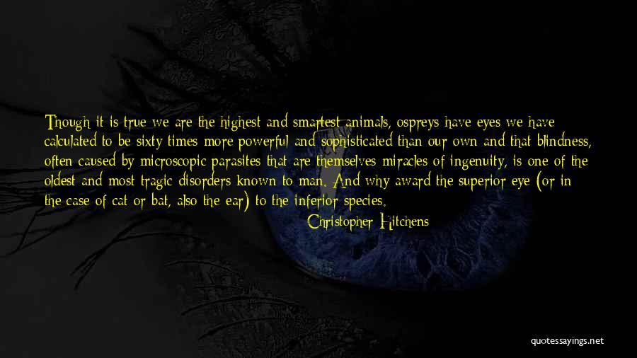 Parasites That Quotes By Christopher Hitchens Parasites That Quotes By Christopher Hitchens