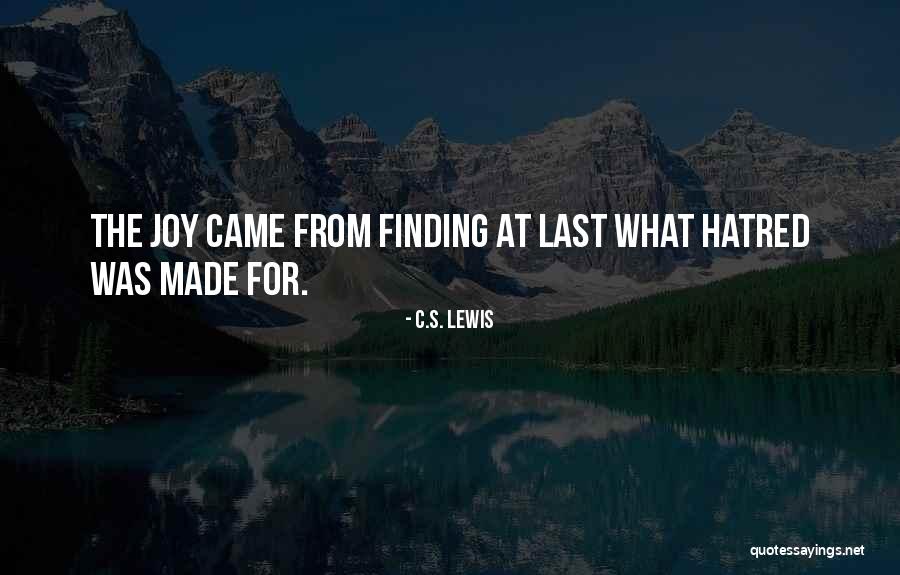 Parasuraman Gap Quotes By C.S. Lewis