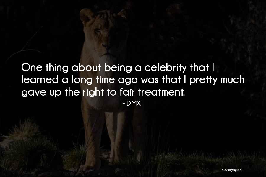 Parasympathetic Nervous System Quotes By DMX Parasympathetic Nervous System Quotes By DMX