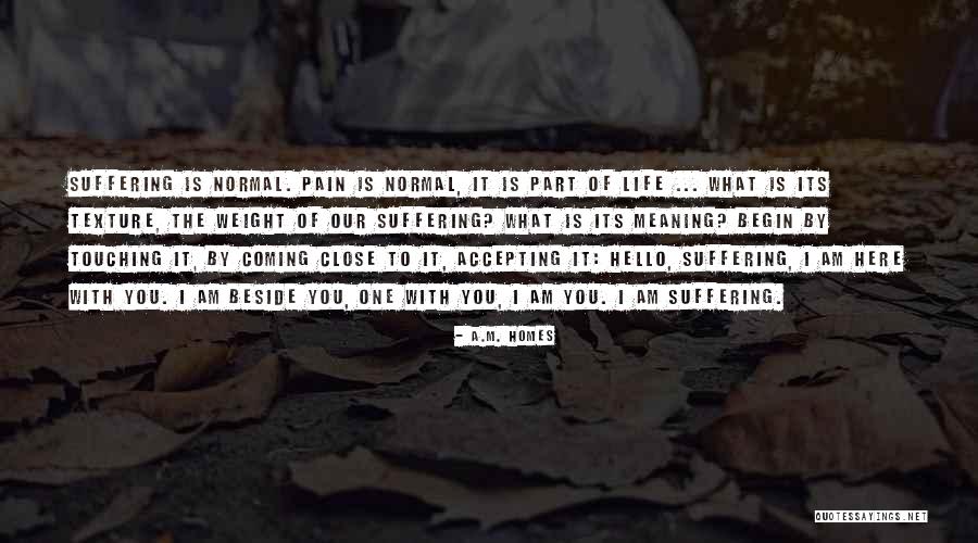 Paratore Golf Quotes By A.M. Homes Paratore Golf Quotes By A.M. Homes