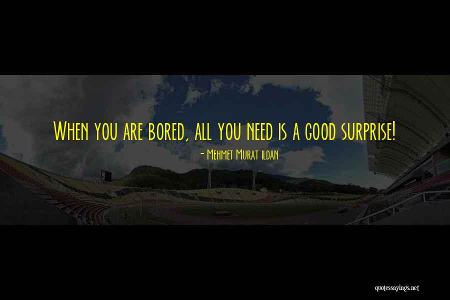 Parboiled Basmati Quotes By Mehmet Murat Ildan Parboiled Basmati Quotes By Mehmet Murat Ildan