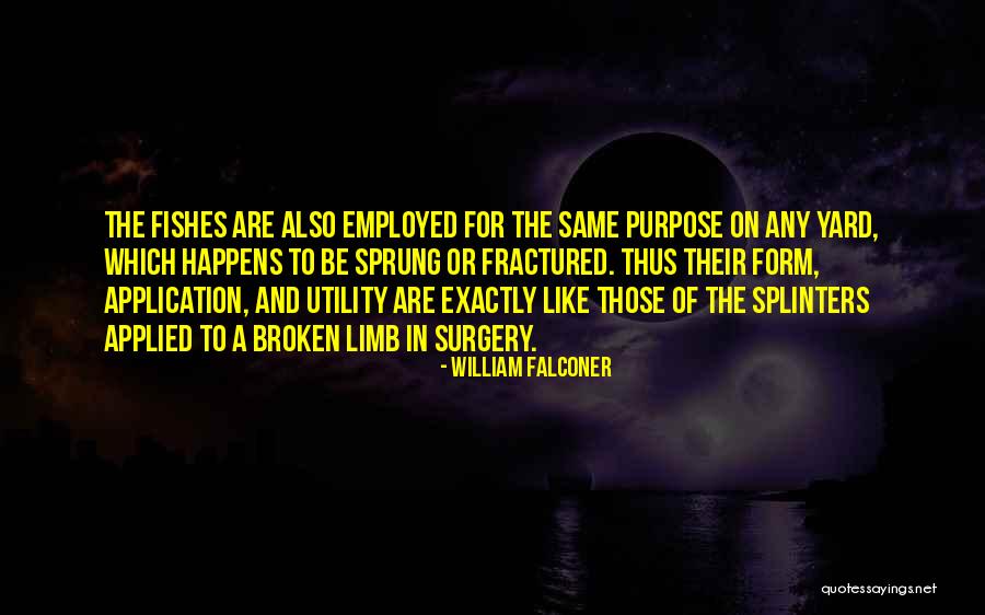 Parbst Quotes By William Falconer