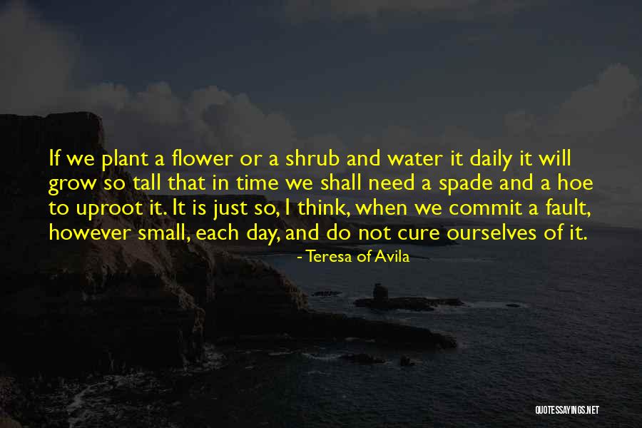 Parcelling In North Quotes By Teresa Of Avila Parcelling In North Quotes By Teresa Of Avila