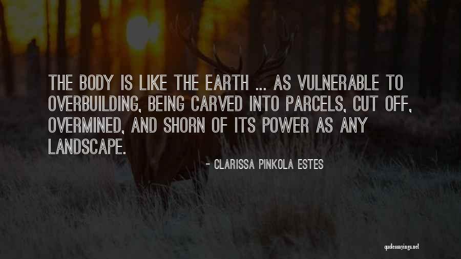 Parcels Quotes By Clarissa Pinkola Estes Parcels Quotes By Clarissa Pinkola Estes