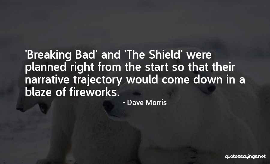 Parcerisa David Quotes By Dave Morris
