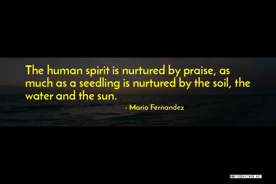 Parches Bordados Quotes By Mario Fernandez Parches Bordados Quotes By Mario Fernandez