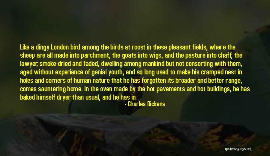 Parchment Quotes By Charles Dickens Parchment Quotes By Charles Dickens