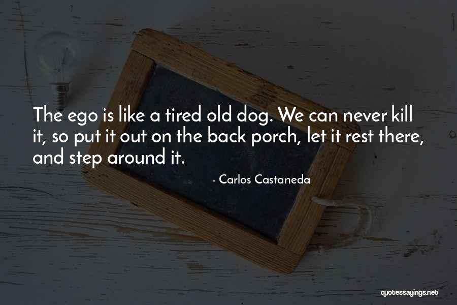 Pardon My Swag Quotes By Carlos Castaneda Pardon My Swag Quotes By Carlos Castaneda