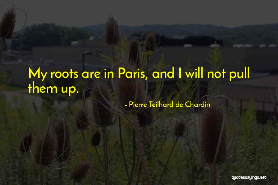 Parecer Conjugation Quotes By Pierre Teilhard De Chardin Parecer Conjugation Quotes By Pierre Teilhard De Chardin