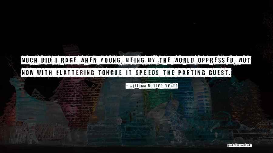 Parenthesized Quotes By William Butler Yeats Parenthesized Quotes By William Butler Yeats