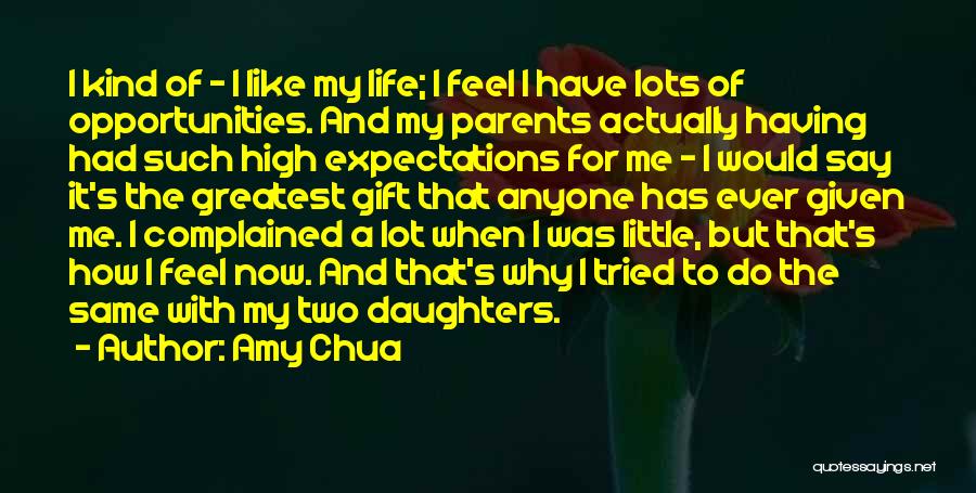 Parents And Daughters Quotes By Amy Chua