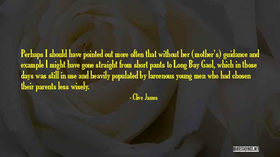 Parents Example Quotes By Clive James