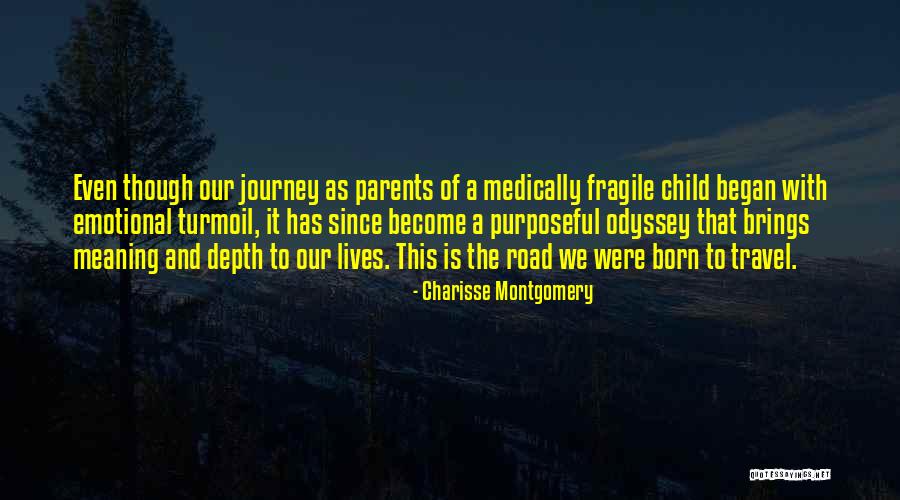 Parents Of Special Needs Quotes By Charisse Montgomery