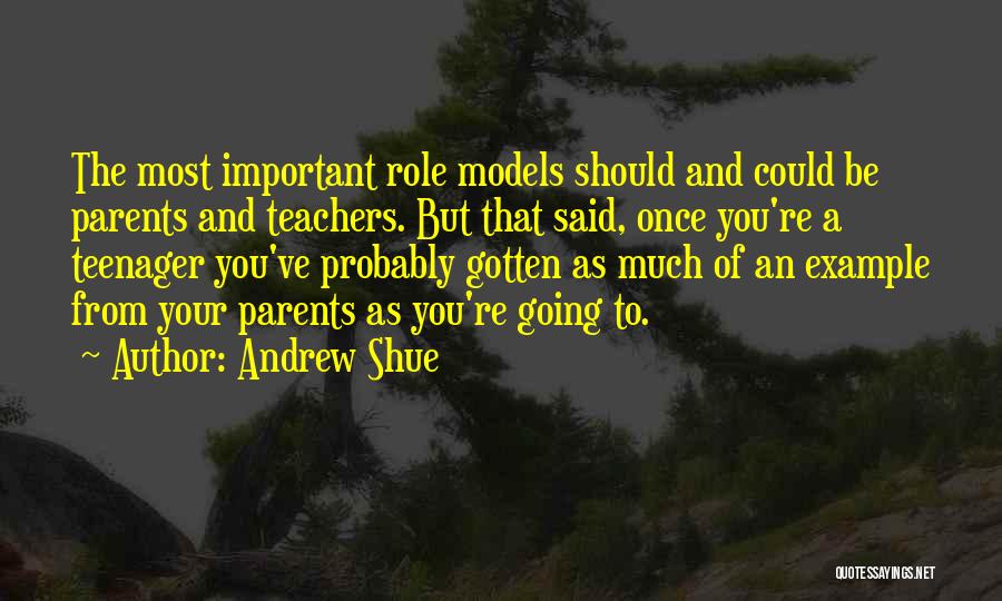 Parents Role Models Quotes By Andrew Shue