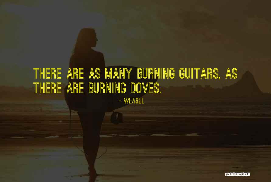 Pareshaan Song Quotes By Weasel Pareshaan Song Quotes By Weasel