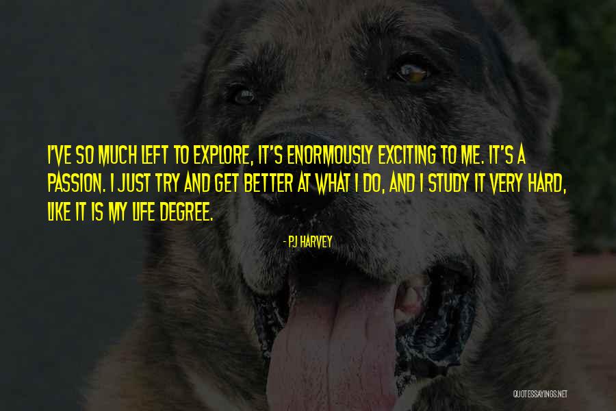 Pareti Mobili Quotes By PJ Harvey Pareti Mobili Quotes By PJ Harvey