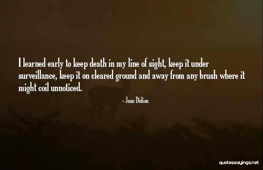 Paretsky Novels Quotes By Joan Didion Paretsky Novels Quotes By Joan Didion