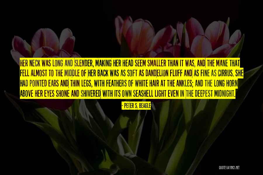 Parijs Roubaix Quotes By Peter S. Beagle Parijs Roubaix Quotes By Peter S. Beagle