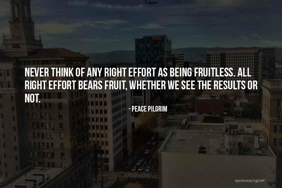 Parindey Kahani Quotes By Peace Pilgrim Parindey Kahani Quotes By Peace Pilgrim