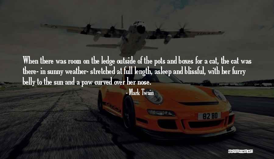 Parineeta Borthakur Quotes By Mark Twain