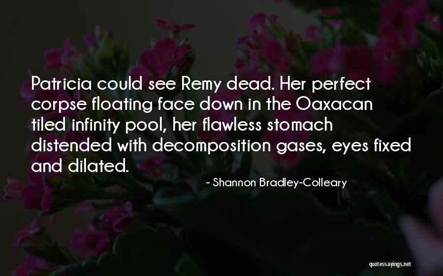 Paris In Literature Quotes By Shannon Bradley-Colleary Paris In Literature Quotes By Shannon Bradley-Colleary