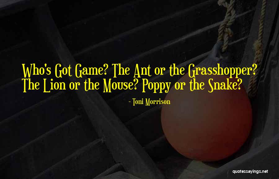 Paris Rain Quotes By Toni Morrison Paris Rain Quotes By Toni Morrison