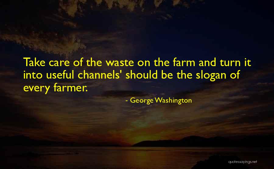 Parisa Amira Quotes By George Washington