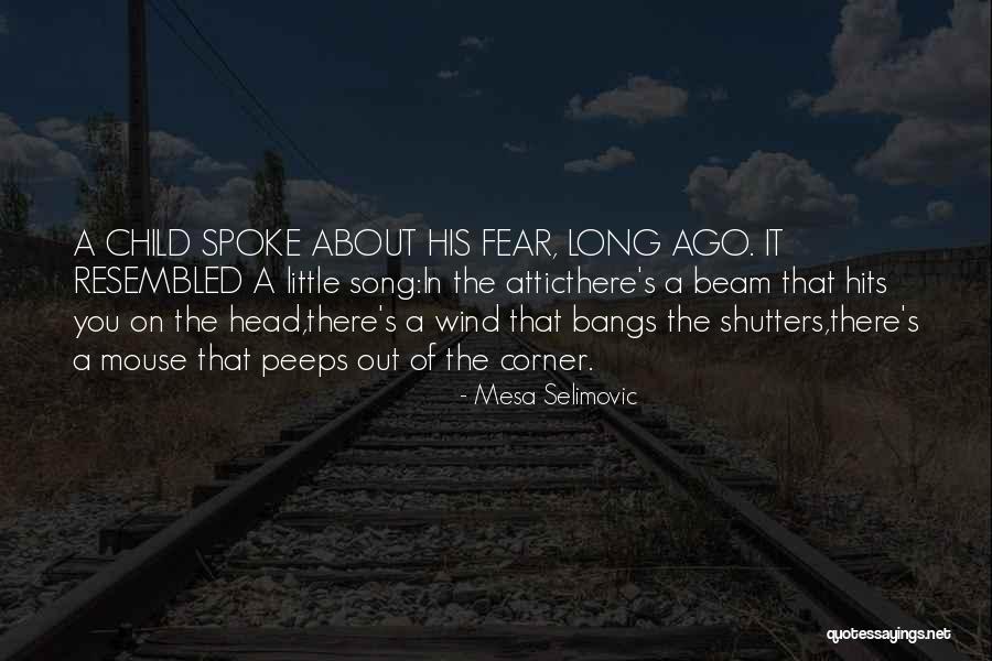 Paritosh Sand Quotes By Mesa Selimovic Paritosh Sand Quotes By Mesa Selimovic