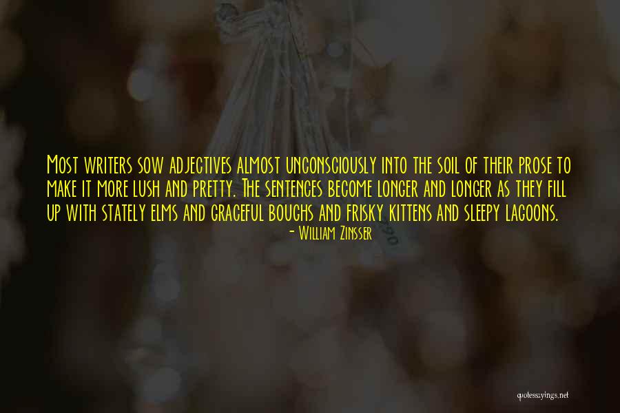 Parizeau Ernest Quotes By William Zinsser Parizeau Ernest Quotes By William Zinsser