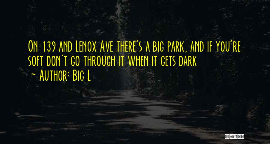 Park Ave Quotes By Big L