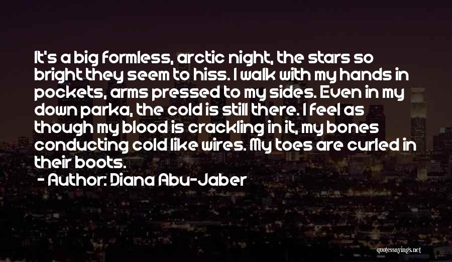 Parka Quotes By Diana Abu-Jaber