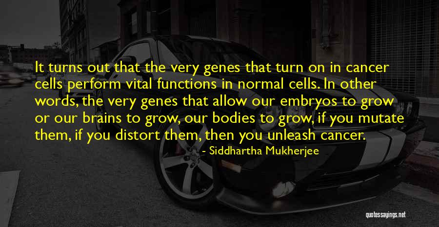 Parkchester Preservation Quotes By Siddhartha Mukherjee Parkchester Preservation Quotes By Siddhartha Mukherjee