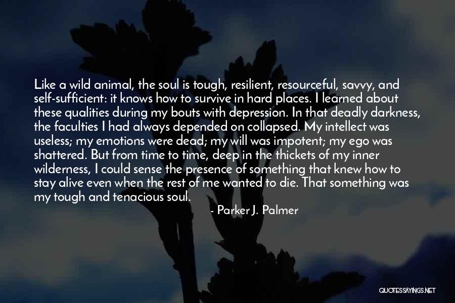 Parker J. Palmer Quotes 483772 Parker J. Palmer Quotes 483772