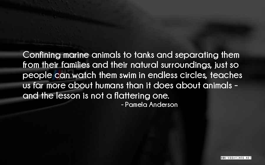 Parkerartscenter Quotes By Pamela Anderson Parkerartscenter Quotes By Pamela Anderson