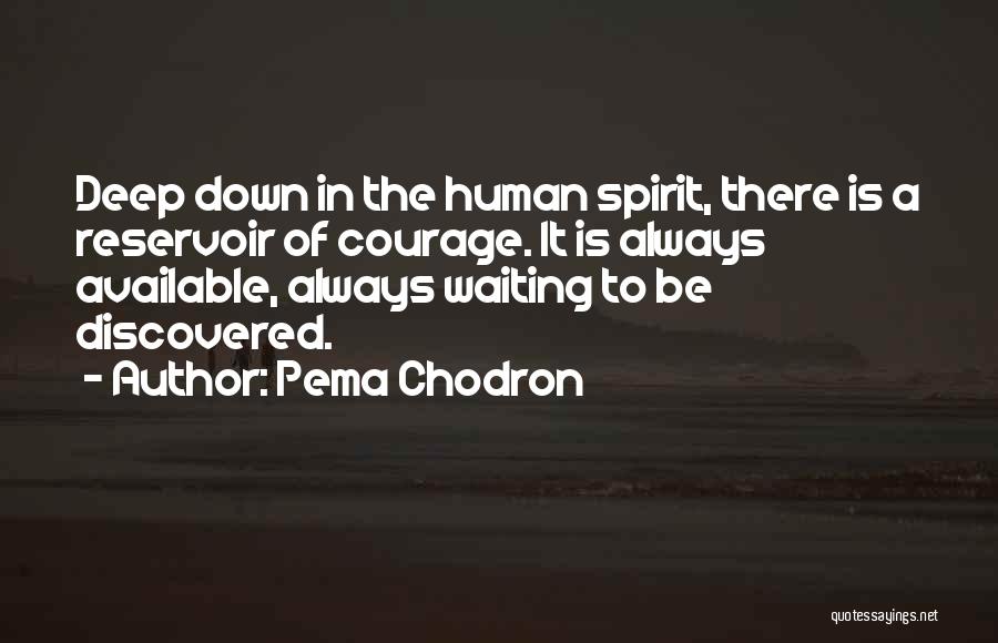 Parlar Login Quotes By Pema Chodron