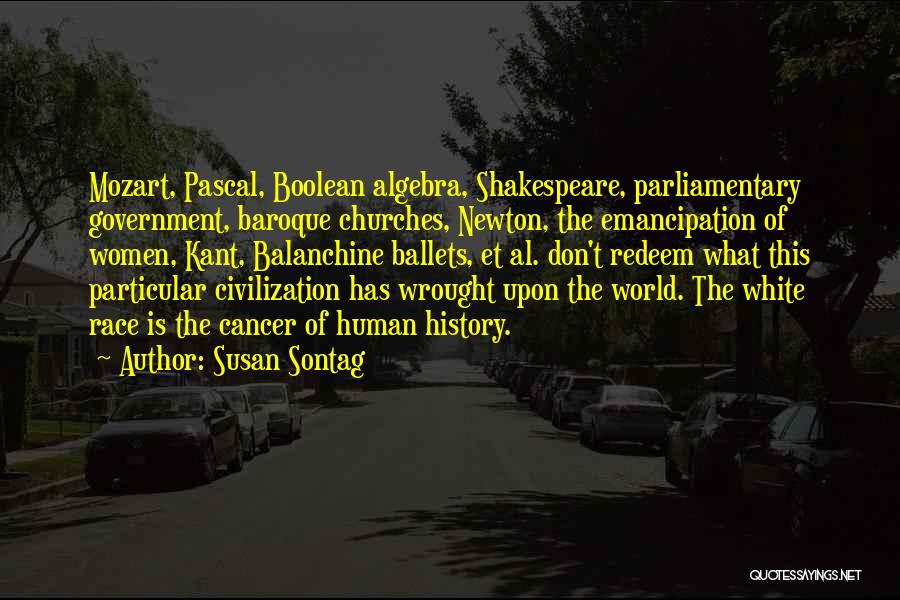 Parliamentary Quotes By Susan Sontag