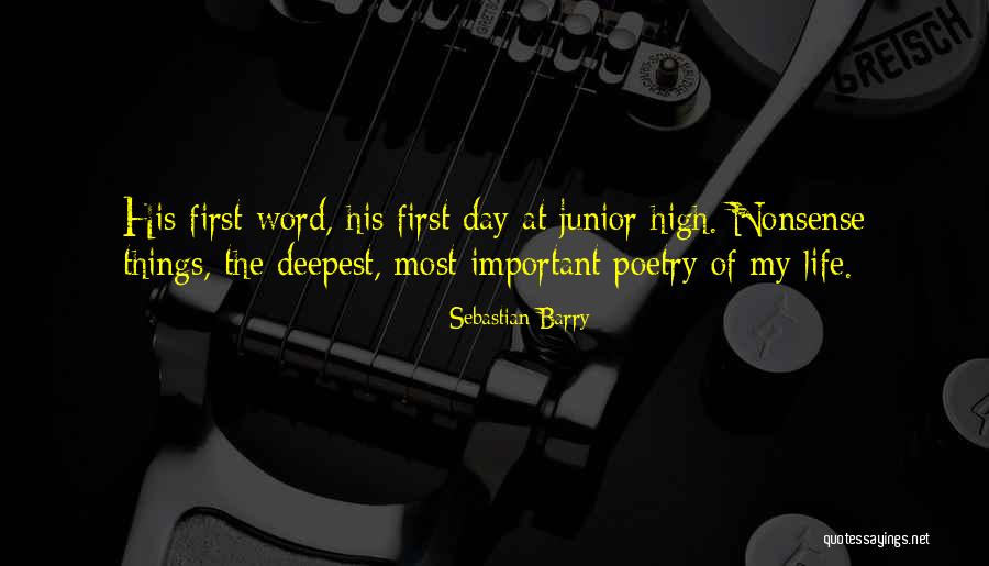 Parmiss Sehat Quotes By Sebastian Barry Parmiss Sehat Quotes By Sebastian Barry