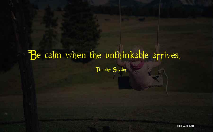 Parnika Khanna Quotes By Timothy Snyder Parnika Khanna Quotes By Timothy Snyder