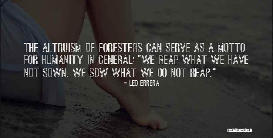 Parodie Harry Quotes By Leo Errera Parodie Harry Quotes By Leo Errera