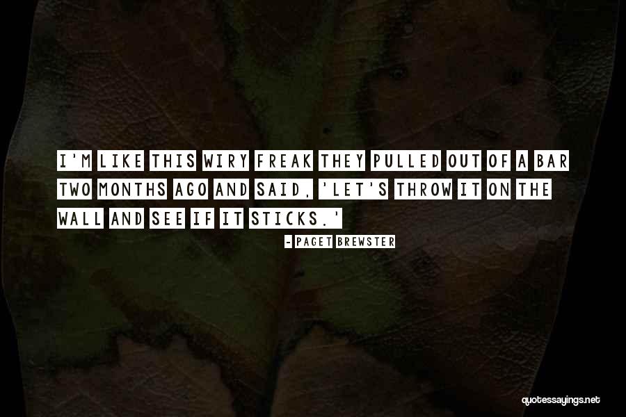 Parodying Copyrighted Quotes By Paget Brewster Parodying Copyrighted Quotes By Paget Brewster