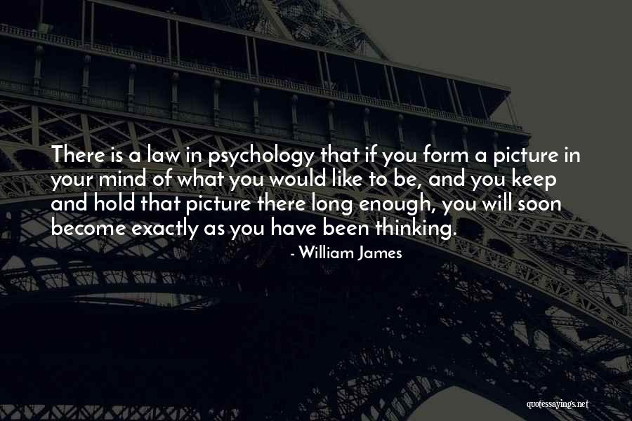 Paroil Quotes By William James Paroil Quotes By William James