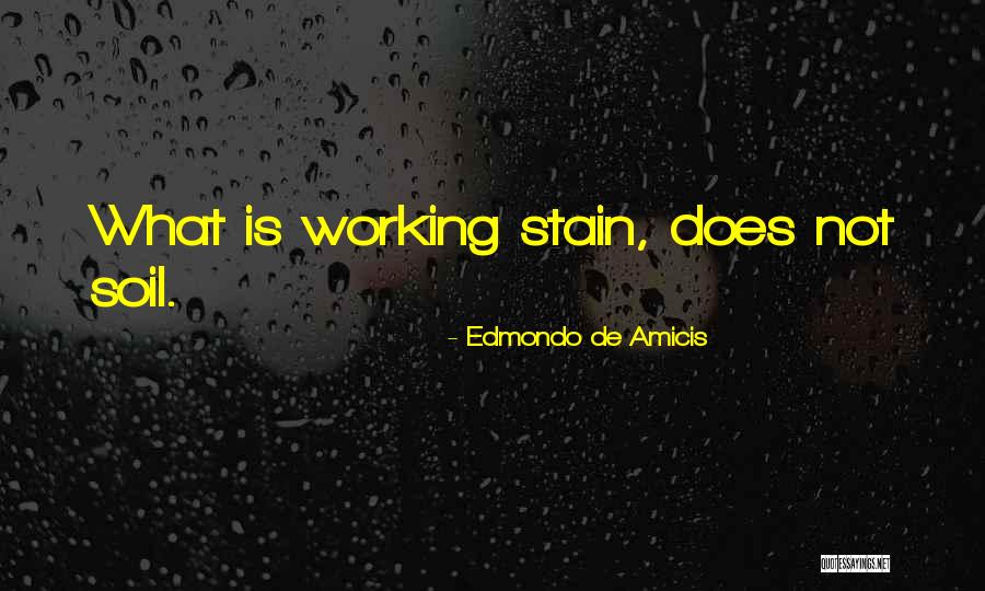 Paronim Quotes By Edmondo De Amicis