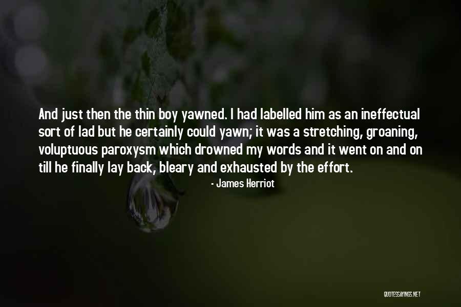 Paroxysm Quotes By James Herriot