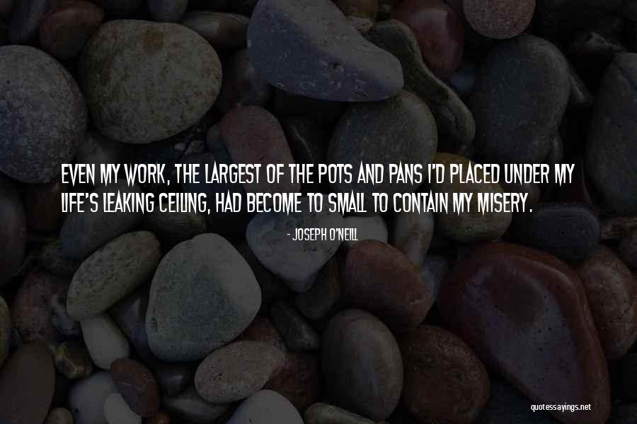 Paroxysmal Dyskinesia Quotes By Joseph O'Neill Paroxysmal Dyskinesia Quotes By Joseph O'Neill