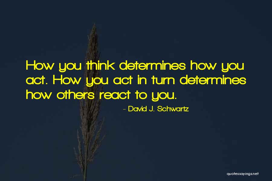 Paroxysme Def Quotes By David J. Schwartz
