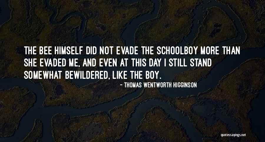 Parp Quotes By Thomas Wentworth Higginson Parp Quotes By Thomas Wentworth Higginson