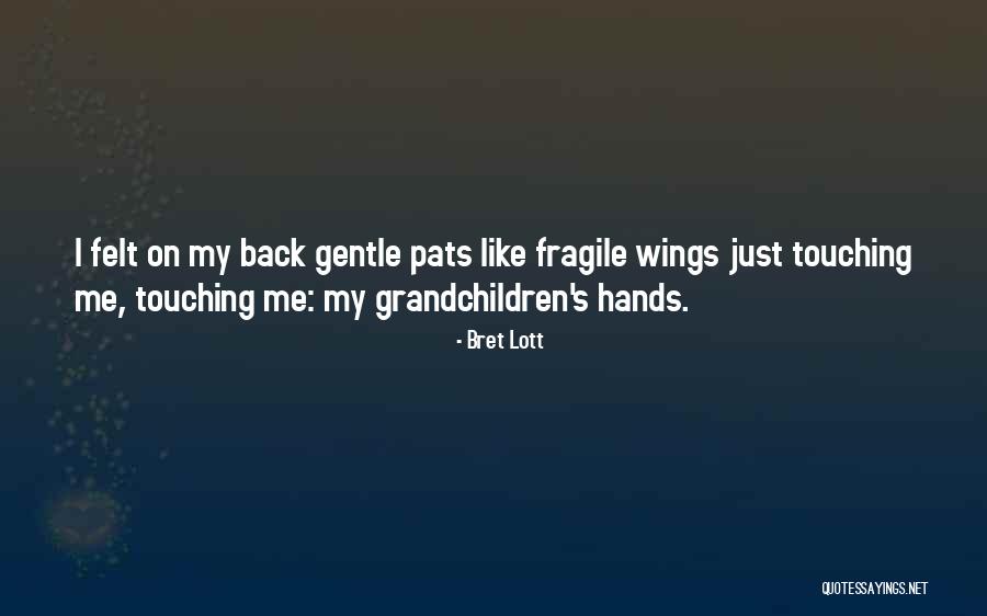 Parpados Hinchados Quotes By Bret Lott Parpados Hinchados Quotes By Bret Lott