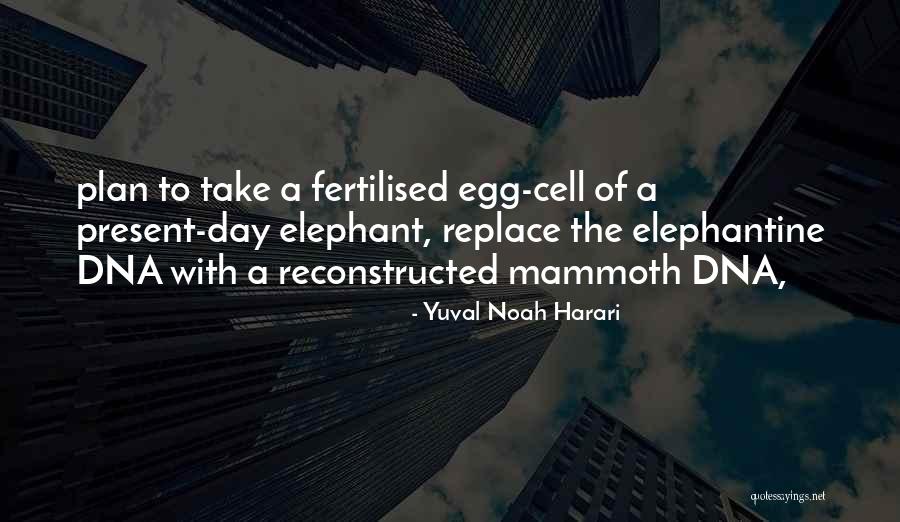 Parrilli Neuquen Quotes By Yuval Noah Harari Parrilli Neuquen Quotes By Yuval Noah Harari